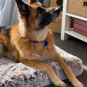 Brooklyn® Ultra Memory Foam Bed by The Brooklyn