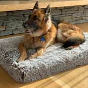 Brooklyn® Ultra Memory Foam Bed by The Brooklyn