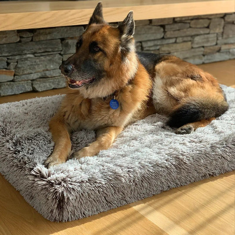 Brooklyn® Ultra Memory Foam Bed by The Brooklyn