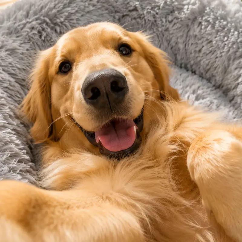 The Brooklyn Dog Beds Brooklyn® Deep Sleep Pet Bed Brooklyn Deep Sleep Calming Donut Dog Bed