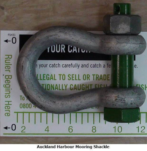 19mm Hi-Load Safety Bow Shackle Green Pin displayed on an Auckland Harbour mooring shackle measurement guide.
