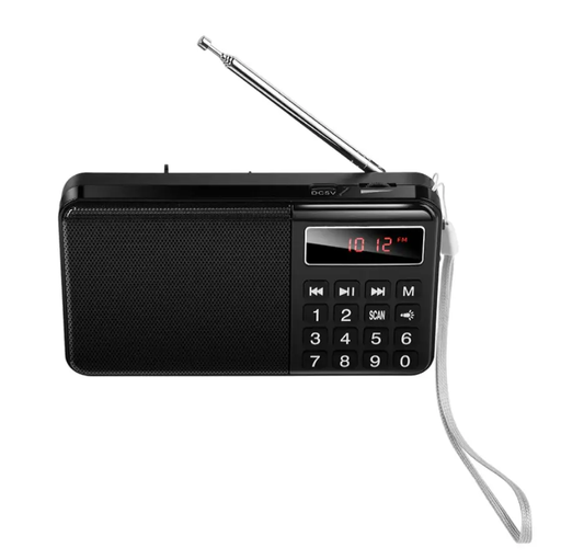 Hoco Mult Function Portable Radio with AM+FM Dual Mode by techplus
