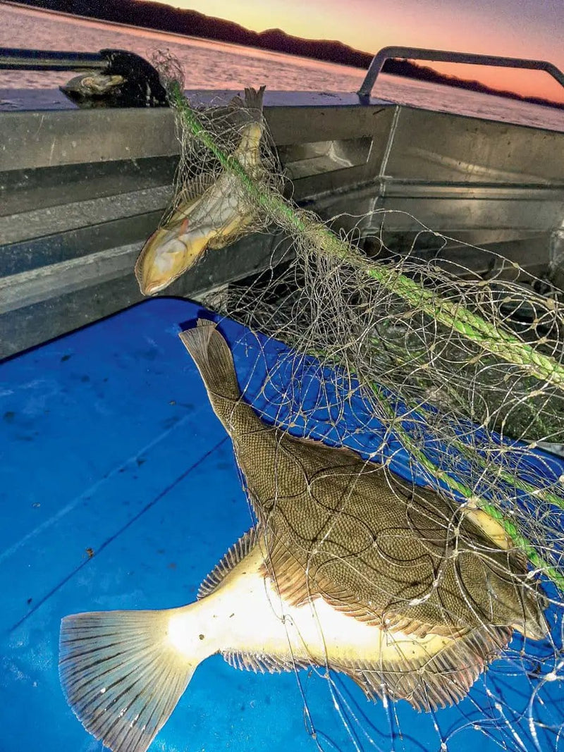Action Fishing Nets Flounder Nets DIY Flounder Net  Multi Mono  -  Floating Top Rope DIY Flounder Net Kit Multi Mono Floating Top Rope