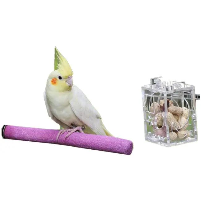 Bird Parrot Feeder by salelink.co.nz
