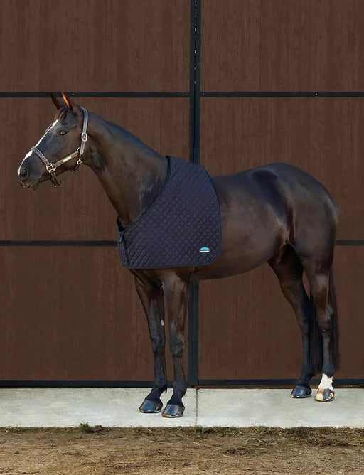 WeatherBeeta Bibs and guards WeatherBeeta Deluxe Shoulder Guard WeatherBeeta Deluxe Shoulder Guard