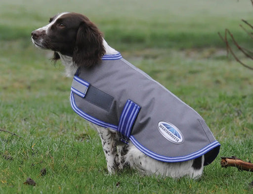 WeatherBeeta Clearance WeatherBeeta Thermi-Heat Dog Coat WeatherBeeta Thermi-Heat Dog Coat