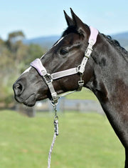 WeatherBeeta Prime Plus Headcollar And Lead Set by WeatherBeeta