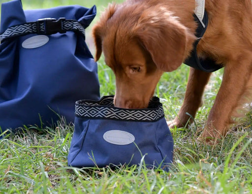 WeatherBeeta Clearance WeatherBeeta Explorer Dog Water/Feed Bowl WeatherBeeta Explorer Dog Water/Feed Bowl