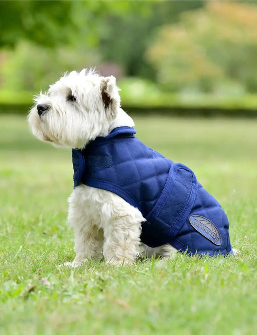 WeatherBeeta Clearance WeatherBeeta ComFiTec Deluxe Diamond Quilt Dog Coat WeatherBeeta ComFiTec Deluxe Diamond Quilt Dog Coat