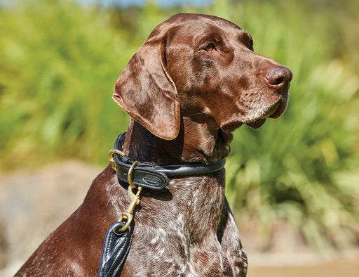 WeatherBeeta Dog collars WeatherBeeta Rolled Leather Dog Collar WeatherBeeta Rolled Leather Dog Collar