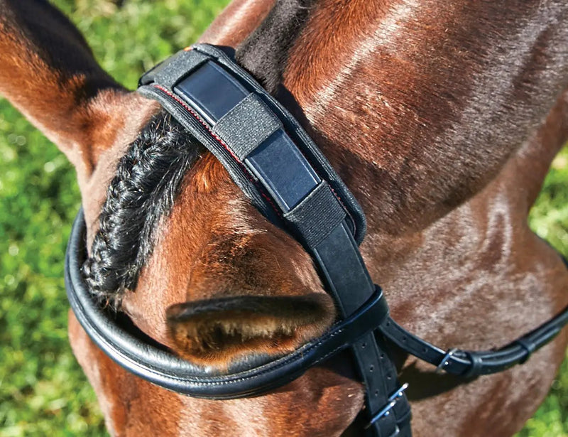 WeatherBeeta Therapy-Tec Poll Pad by WeatherBeeta