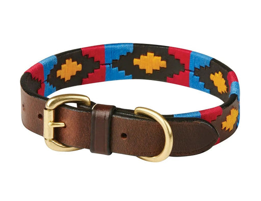 WeatherBeeta Clearance WeatherBeeta Polo Leather Dog Collar WeatherBeeta Polo Leather Dog Collar