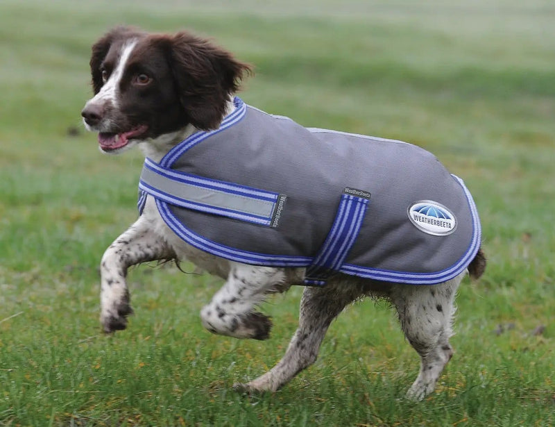WeatherBeeta Thermi-Heat Dog Coat by WeatherBeeta