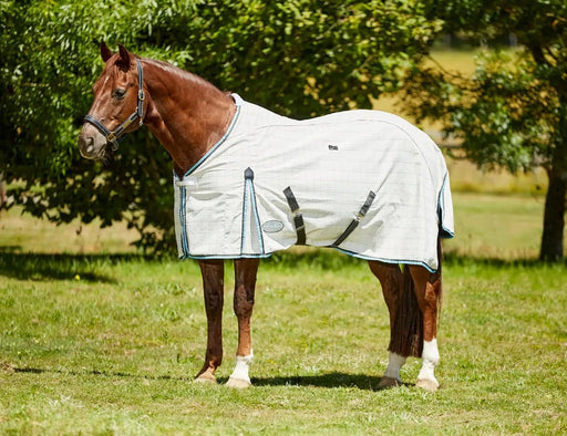 WeatherBeeta Clearance WeatherBeeta Cotton Summer Sheet Standard Neck WeatherBeeta Cotton Summer Sheet Standard Neck