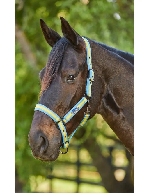 WeatherBeeta Clearance WeatherBeeta Coordinate Headcollar WeatherBeeta Coordinate Headcollar
