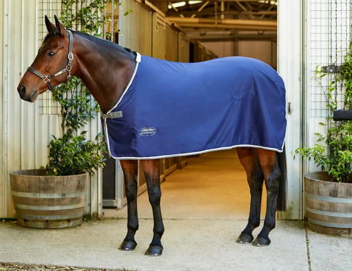 WeatherBeeta Clearance WeatherBeeta Show Sheet Standard Neck WeatherBeeta Show Sheet Standard Neck