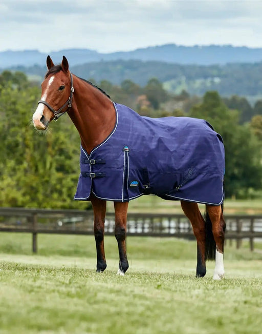 WeatherBeeta Rugs medium lite WeatherBeeta ComFiTec Prelim Turnout 100G WeatherBeeta ComFiTec Prelim Turnout 100G