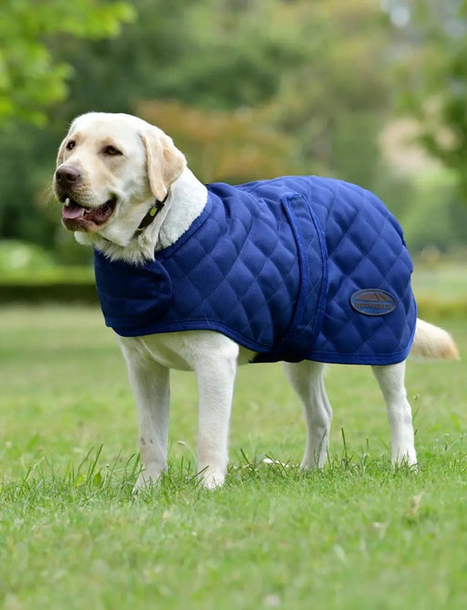 WeatherBeeta Clearance WeatherBeeta ComFiTec Deluxe Diamond Quilt Dog Coat WeatherBeeta ComFiTec Deluxe Diamond Quilt Dog Coat