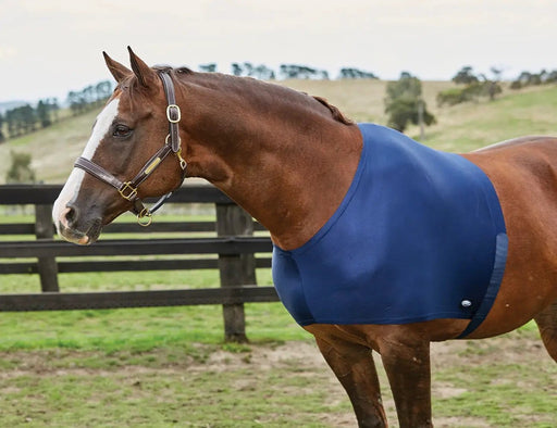 WeatherBeeta Bibs and guards WeatherBeeta Stretch Shoulder Guard WeatherBeeta Stretch Shoulder Guard