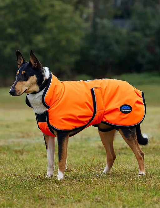 WeatherBeeta Outdoor coats WeatherBeeta ComFiTec Reflective 300D Deluxe Showerproof Dog Coat WeatherBeeta ComFiTec Reflective 300D Deluxe Showerproof Dog Coat