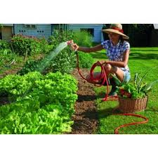 Woman watering a vegetable garden with an 18m expandable garden hose, surrounded by lush green plants.