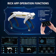 AI RC Robot Dog with Voice Control, App Programming & Dancing Functions by Habicare