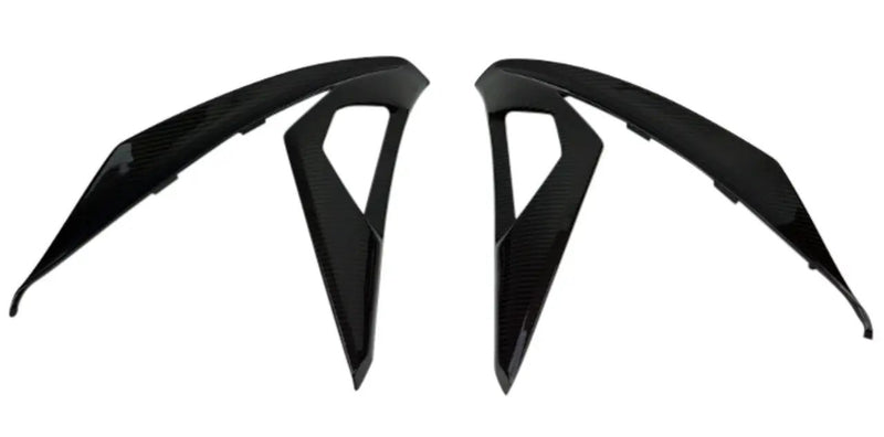 Ninja 300 (Large Side Panels) Dry Carbon by CARBONISE