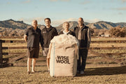 Wisewool™ Pillow Duvet by Do Not Disturb Sleep Company