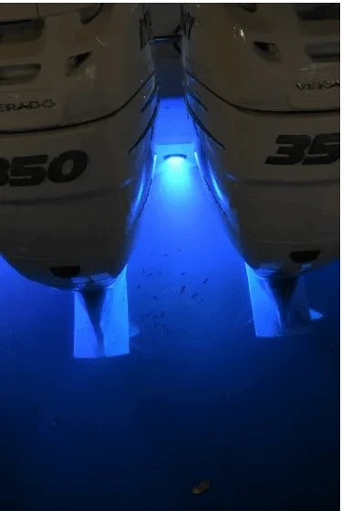 Seablaze Mini Led Underwater Light - Spectrum illuminating boat motors with blue light.