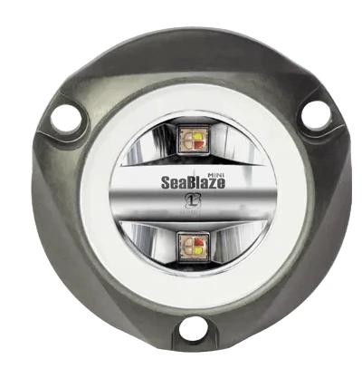 Seablaze Mini Led Underwater Light - Spectrum close-up view of the compact design with dual LED lights.