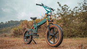 Kiwi eRide Kiwi eRide Fiido M1 Pro E bike 48V 13Ah Folding Electric Bike Fiido M1 Pro E bike 48V 13Ah Folding Electric Bike