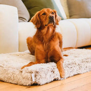 Brooklyn® Ultra Memory Foam Bed by The Brooklyn