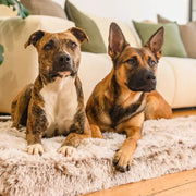 Brooklyn® Ultra Memory Foam Bed by The Brooklyn