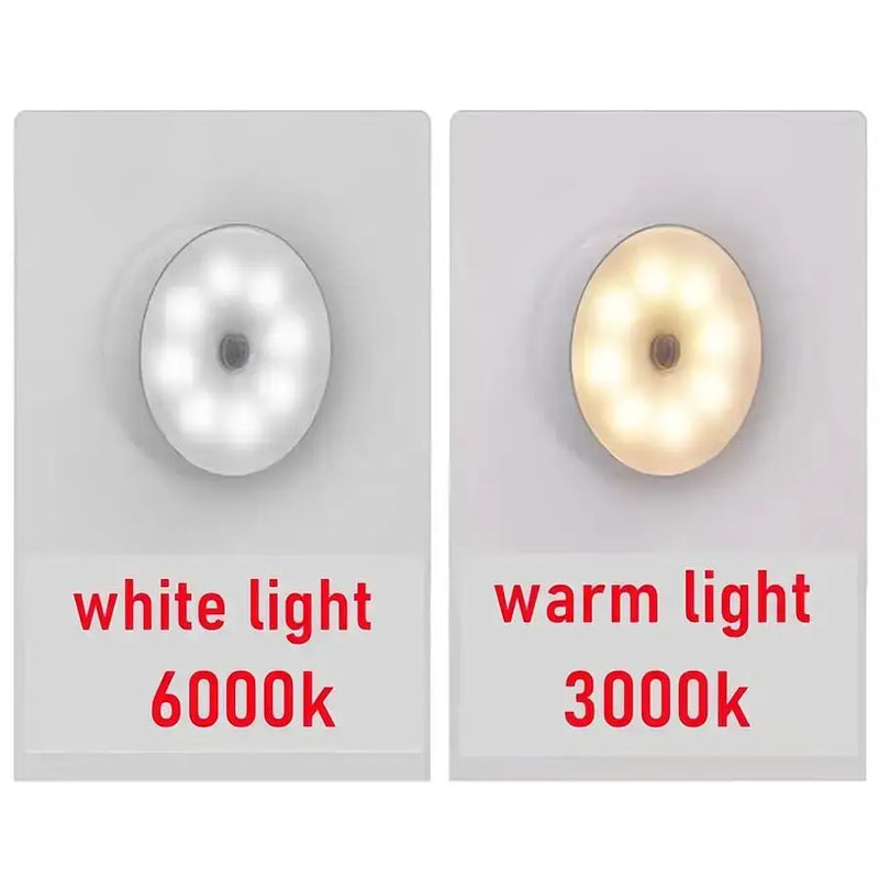 USB Rechargeable Motion Sensor LED Night Light by Habicare