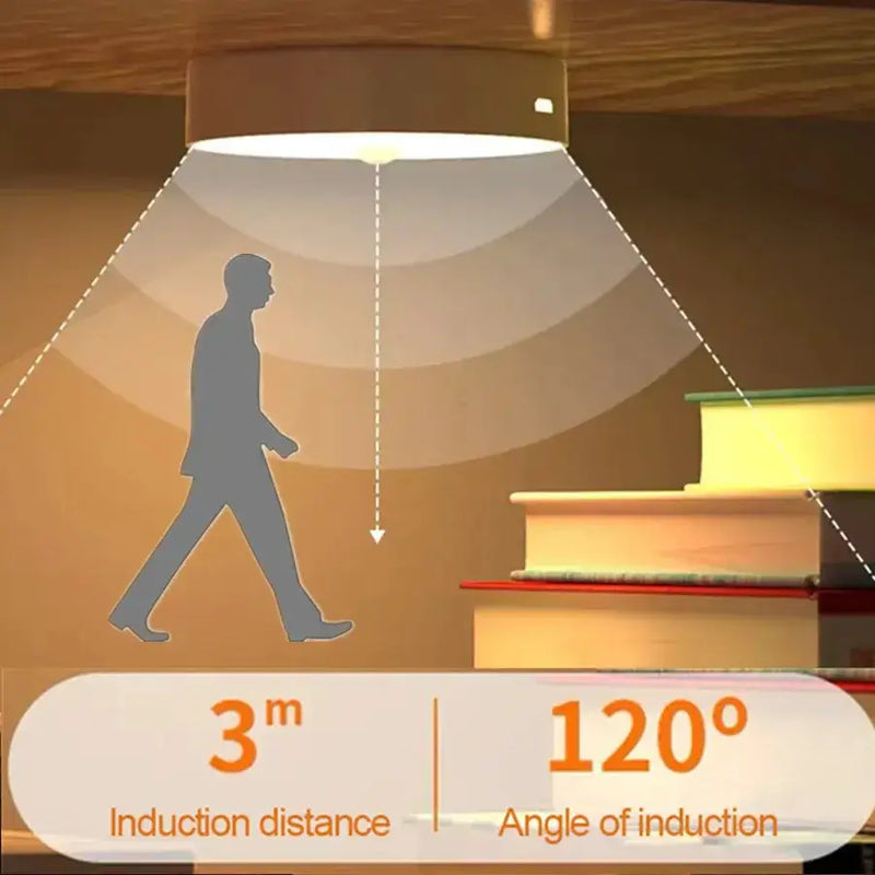 USB Rechargeable Motion Sensor LED Night Light by Habicare