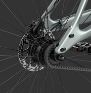 Kiwi eRide Kiwi eRide Fiido Air 36V 5.8Ah Electric bike Ultra-Light Carbon Fiber E-Bike Electric Road bike Fiido Air 36V 5.8Ah Electric bike Ultra-Light Carbon Fiber E-Bike Electric Road bike