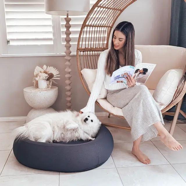 The Brooklyn Dog Beds Brooklyn® Nest Cooling Dog Bed (Orthopaedic Memory Foam) The Brooklyn Nest Cooling Dog Bed With Memory Foam