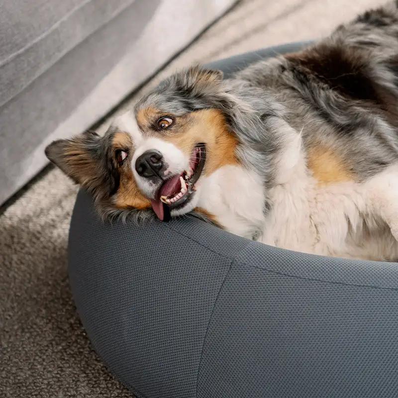 The Brooklyn Dog Beds Brooklyn® Nest Cooling Dog Bed (Orthopaedic Memory Foam) The Brooklyn Nest Cooling Dog Bed With Memory Foam