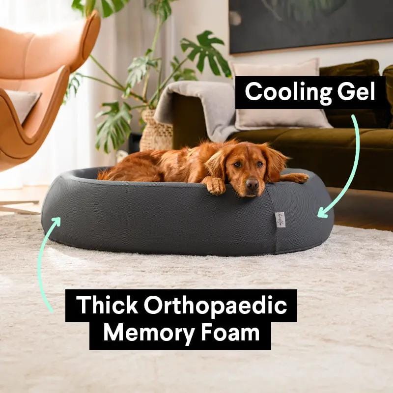 The Brooklyn Dog Beds Brooklyn® Nest Cooling Dog Bed (Orthopaedic Memory Foam) The Brooklyn Nest Cooling Dog Bed With Memory Foam