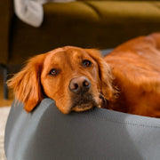 Brooklyn® Nest Cooling Dog Bed (Orthopaedic Memory Foam) by The Brooklyn