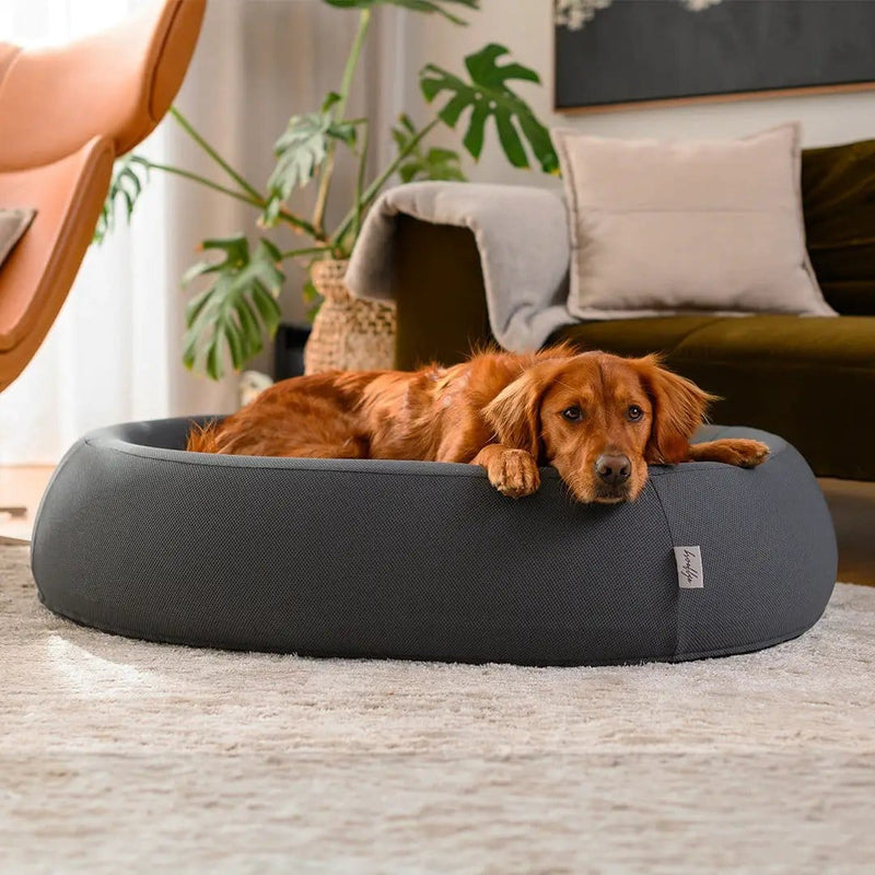 The Brooklyn Dog Beds Brooklyn® Nest Cooling Dog Bed (Orthopaedic Memory Foam) The Brooklyn Nest Cooling Dog Bed With Memory Foam