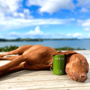Animal Addiction Limited Dog Health Care Holistic Hound - Paw & Skin Soak 170g Holistic Hound - Paw & Skin Soak 170g