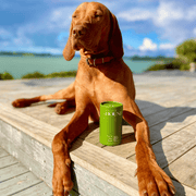 Animal Addiction Limited Dog Health Care Holistic Hound - Paw & Skin Soak 170g Holistic Hound - Paw & Skin Soak 170g
