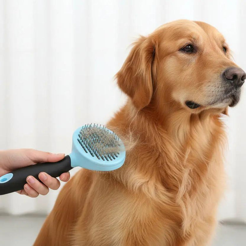 Self Cleaning Pet/Dog/Cat Grooming Brush BLUE by dealonline.co.nz