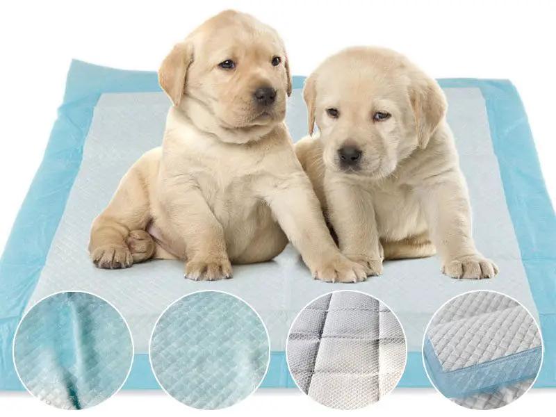 Puppy Training Pads by dealonline.co.nz
