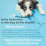 Pet Urine Testing Strips (x 100) by Habicare
