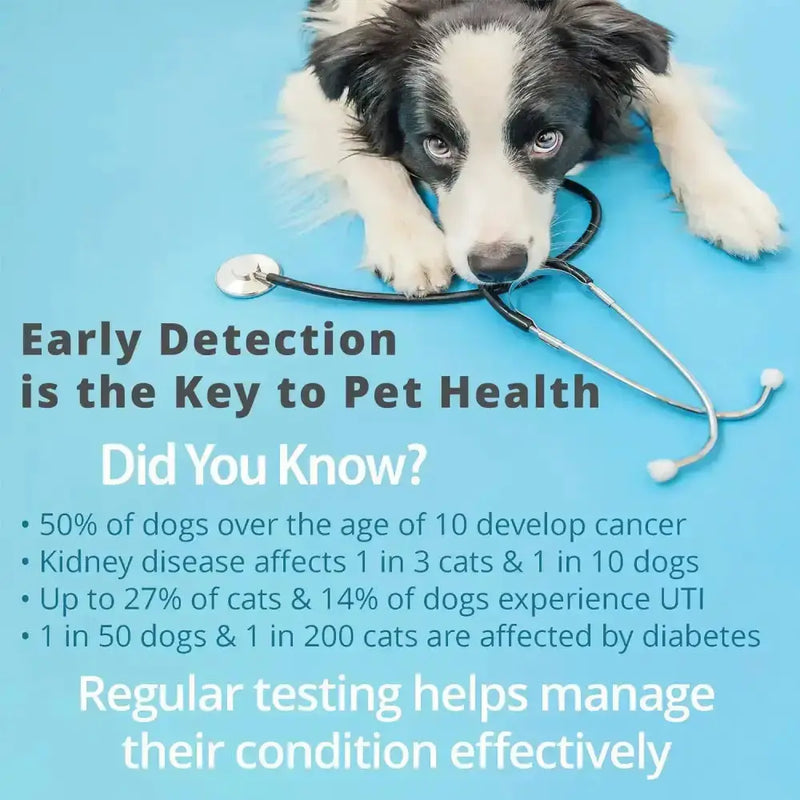 Pet Urine Testing Strips (x 100) by Habicare