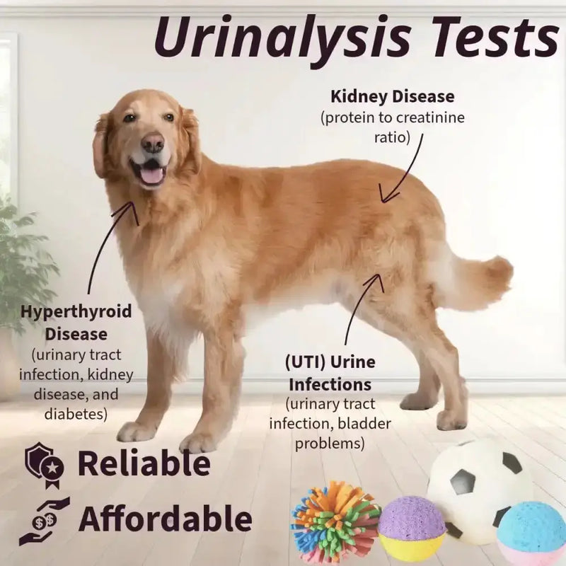 Pet Urine Testing Strips (x 100) by Habicare