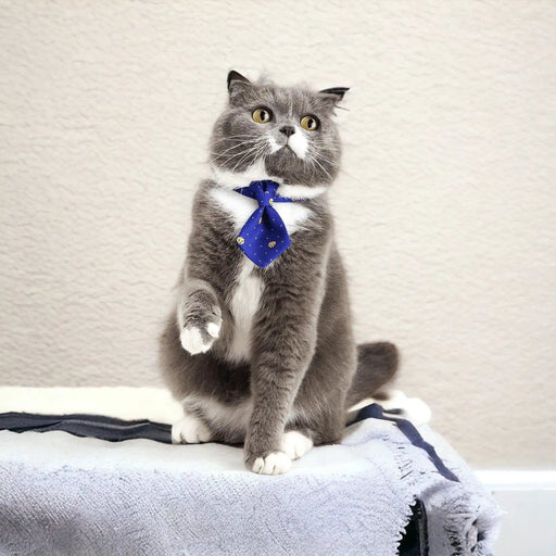 Pidan New Zealand Fashion PIDAN Blue Tiger Pattern Pet Necktie Collar With Breakaway Safety Pidan Blue Tiger Necktie Collar With Breakaway Safety