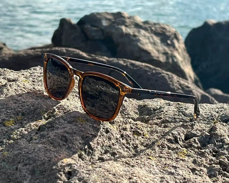 ISLA/Brown Grey by URBA VISTA